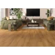 Вінілова підлога Alsa flooring HORIZON 604620 HZ 1201 Каравела