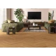Вінілова підлога Alsa flooring HORIZON HERRINGBONE 604601 HZB 1201 Каравела