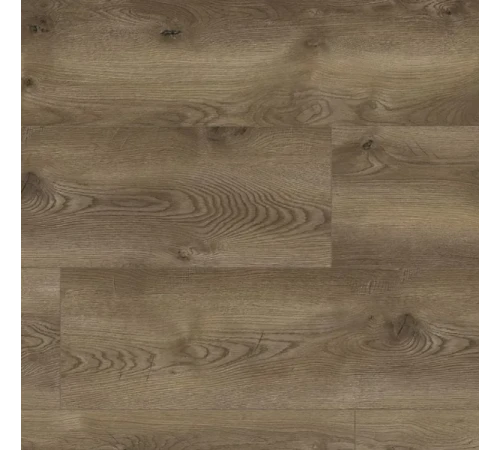 Ламінат Classen Evolution Siena Oak 63110