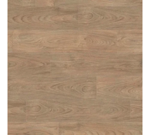 Ламинат Haro Tritty 100 Elm Vario