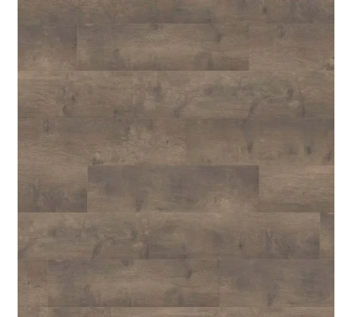 Ламінат Haro Tritty 100 Oak Bergamo Carbon