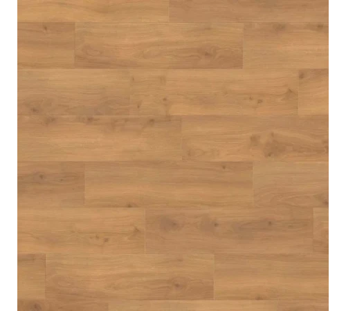 Ламінат Haro Tritty 100 Oak Emilia Honey