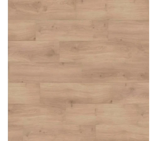 Ламінат Haro Tritty 100 Oak Emilia Puro