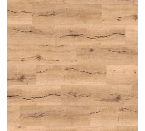 Ламінат Haro Tritty 100 Oak Italica Creme