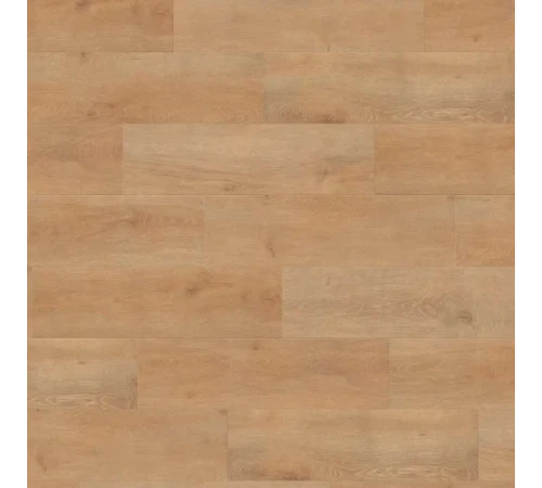 Ламинат Haro Tritty 100 Oak Veneto Nature