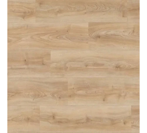Ламинат Kaindl AquaPro Select Natural Touch 8.0 K2241 Дуб Кордоба Крема