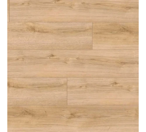 Ламінат Kaindl Natural Touch 8.0 K4420 Дуб Івоук Класичний