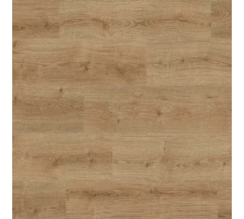 Ламінат Kaindl Natural Touch 8.0 K4421 Дуб Івоук Тренд