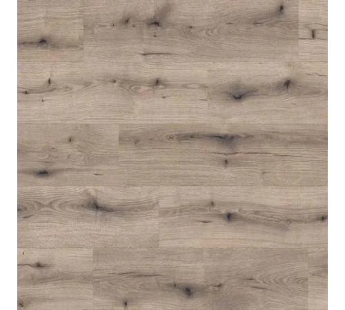 Ламінат Kaindl Natural Touch 8.0 K5576 Дуб Evoke Knot Solano