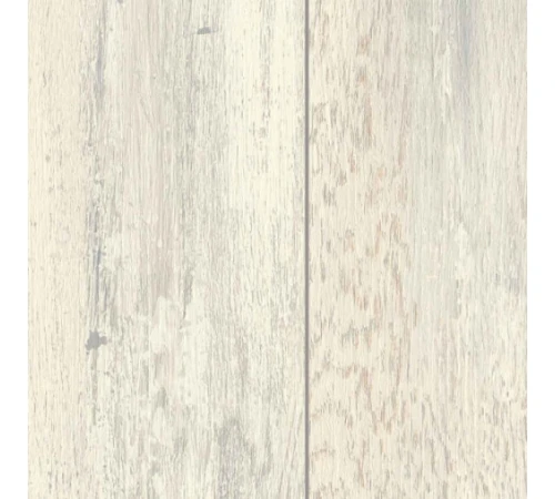 Ламинат Kastamonu FloorPan NATUREL - Альбатрос FN019