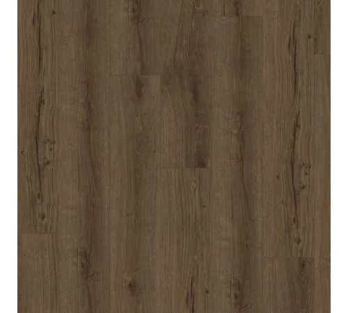 Вінілова плитка Parador TrendTime 8 - Oak Cambridge smoked
