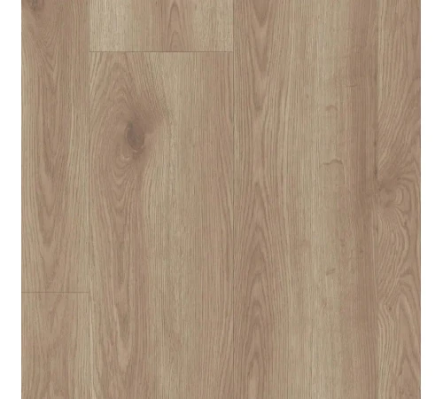 Виниловая плитка Tarkett Starfloor Click Solid 55 CONTEMPORARY OAK-NATURAL 36024111