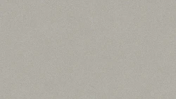 Лінолеум Tarkett Ruby 70 - Nature COLD GREY
