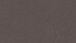 Линолеум Tarkett iQ NATURAL - Natural DARK BROWN 0844