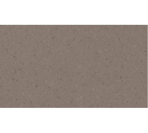 Лінолеум Tarkett iQ NATURAL - Natural DARK COLD BEIGE 0842