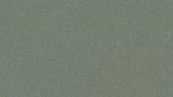 Линолеум Tarkett iQ NATURAL - Natural DUSTY GREEN 0159