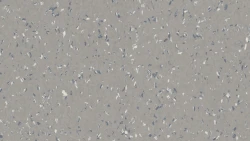 Линолеум Tarkett iQ NATURAL - Natural FLAKES GREY 0185