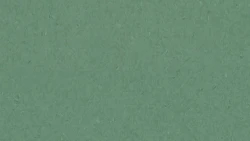 Линолеум Tarkett iQ NATURAL - Natural GREEN 0108