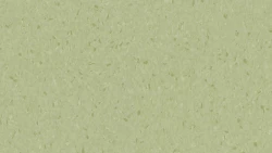 Линолеум Tarkett iQ NATURAL - Natural LIGHT GREEN 0182