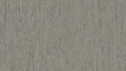 Линолеум Tarkett iQ OPTIMA - Optima BEIGE GREY 0874