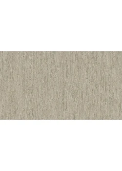 Линолеум Tarkett iQ OPTIMA - Optima DARK SAND 0807