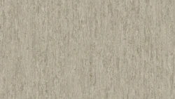 Линолеум Tarkett iQ OPTIMA - Optima DARK SAND 0807