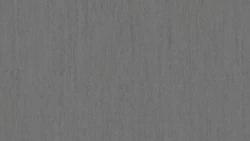 Лінолеум Tarkett iQ OPTIMA - Optima SOFT DARK COOL GREY 0201
