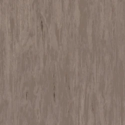 Лінолеум Tarkett STANDARD PLUS - Standard DARK BEIGE 0482