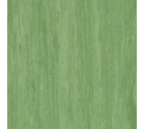 Линолеум Tarkett STANDARD PLUS - Standard DARK GREEN 0921