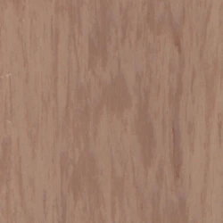 Лінолеум Tarkett STANDARD PLUS - Standard SAND DARK 0915