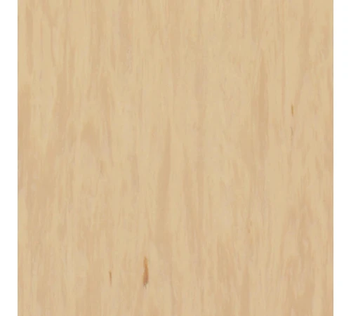 Линолеум Tarkett STANDARD PLUS - Standard SANDSTONE 0484