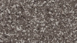 Линолеум Tarkett Eclipse Premium - Eclipse WHITE BROWN 0810