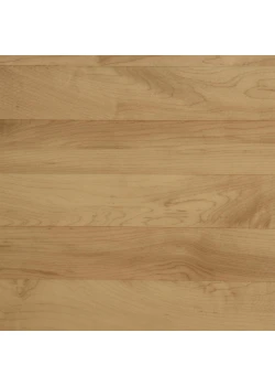 Линолеум Tarkett OMNISPORTS V65 - Maple MAPLE