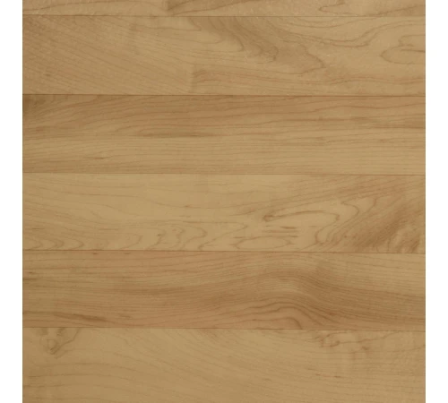 Линолеум Tarkett OMNISPORTS V65 - Maple MAPLE