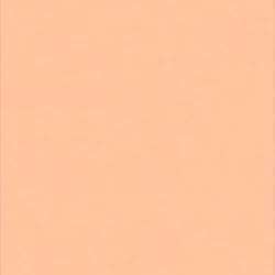 Лінолеум Tarkett WALLGARD - Wallgard ORANGE