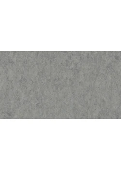 Линолеум Tarkett VENETO xf²™ (2.0 mm) - Veneto ALUMINIUM 672
