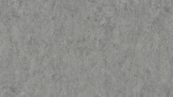 Лінолеум Tarkett VENETO xf²™ (2.0 mm) - Veneto ALUMINIUM 672