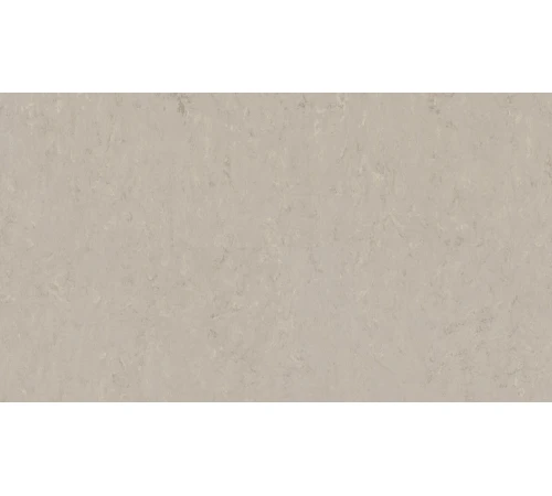 Лінолеум Tarkett VENETO xf²™ (2.0 mm) - Veneto BURLAP 911