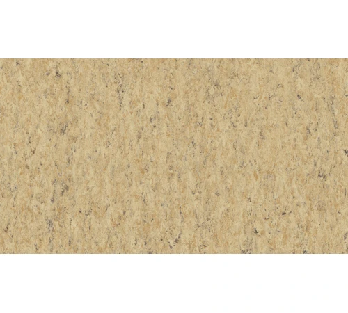 Линолеум Tarkett VENETO xf²™ (2.0 mm) - Veneto CORK 679