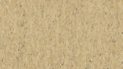 Лінолеум Tarkett VENETO xf²™ (2.0 mm) - Veneto CORK 679