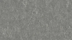 Лінолеум Tarkett VENETO xf²™ (2.0 mm) - Veneto PEBBLE 604