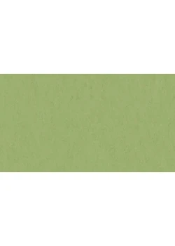 Линолеум Tarkett VENETO xf²™ (2.5 mm) - Veneto APPLE GREEN 754