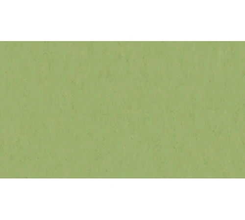 Лінолеум Tarkett VENETO xf²™ (2.5 mm) - Veneto APPLE GREEN 754
