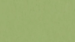 Лінолеум Tarkett VENETO xf²™ (2.5 mm) - Veneto APPLE GREEN 754
