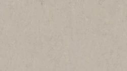 Лінолеум Tarkett VENETO xf²™ (2.5 mm) -  Veneto BURLAP 911