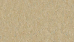 Лінолеум Tarkett VENETO xf²™ (2.5 mm) -  Veneto CAMEL 616