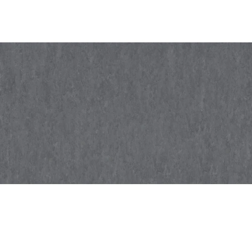 Линолеум Tarkett VENETO xf²™ (2.5 mm) - Veneto CONCRETE 686