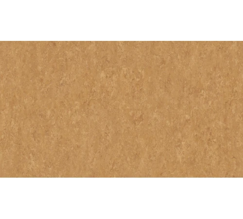 Линолеум Tarkett VENETO xf²™ (2.5 mm) - Veneto COPPER 634