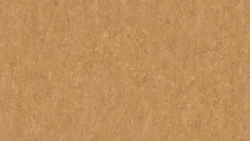 Лінолеум Tarkett VENETO xf²™ (2.5 mm) - Veneto COPPER 634