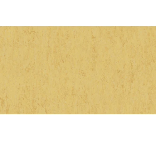 Линолеум Tarkett VENETO xf²™ (2.5 mm) - Veneto CORN 612